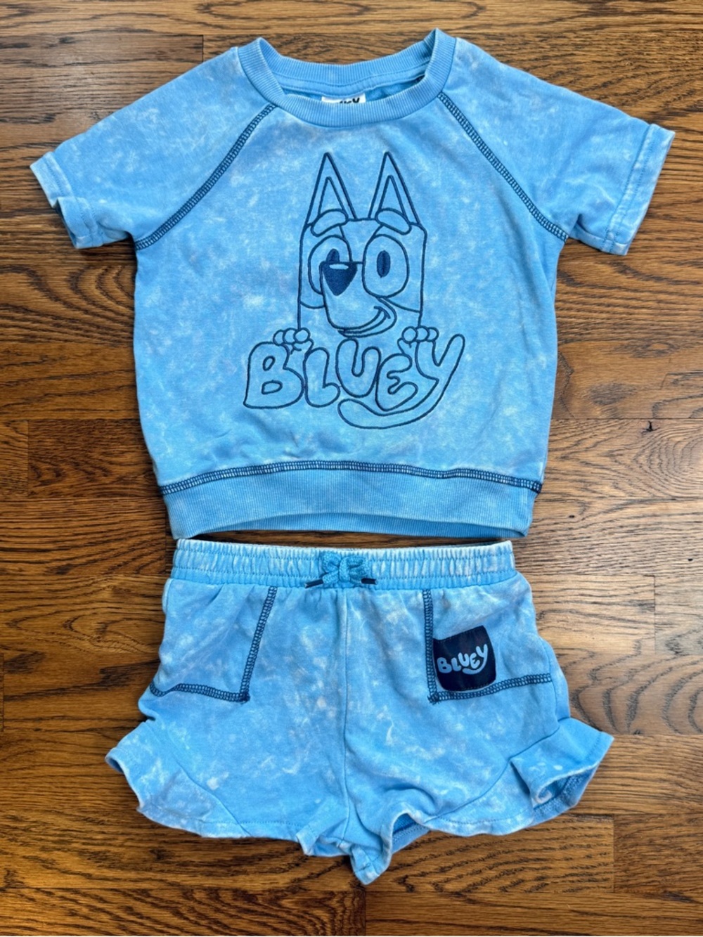 Bluey Girls Embroidered Graphic Top and Ruffle Short Set Mineral
Wash Finish 4T